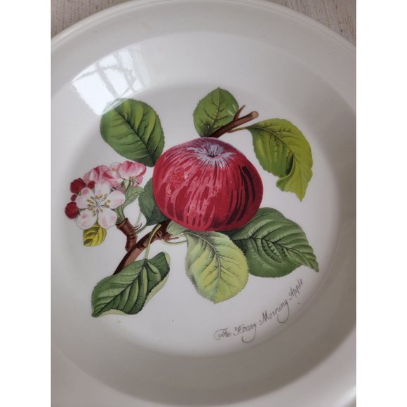 Vintage portmeirion hoary morning Apple dinner plate - Picture 3 of 5